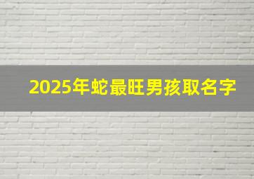 2025年蛇最旺男孩取名字