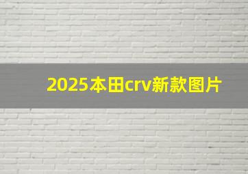 2025本田crv新款图片