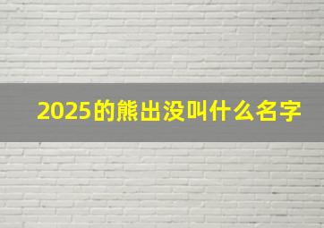 2025的熊出没叫什么名字