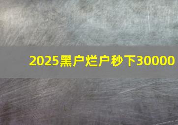 2025黑户烂户秒下30000