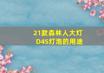 21款森林人大灯D4S灯泡的用途