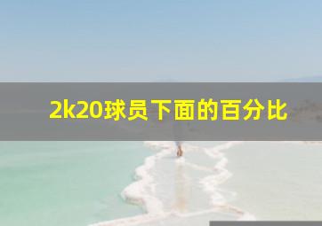 2k20球员下面的百分比