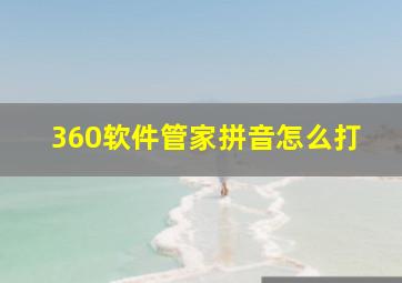 360软件管家拼音怎么打