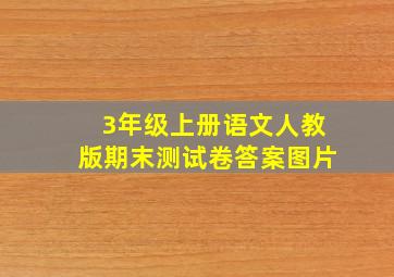 3年级上册语文人教版期末测试卷答案图片