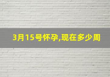 3月15号怀孕,现在多少周