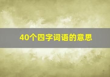 40个四字词语的意思