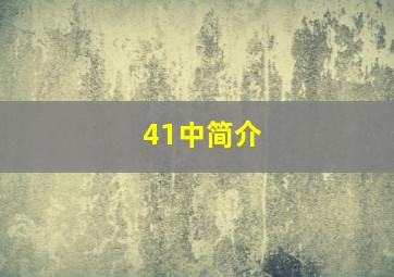 41中简介