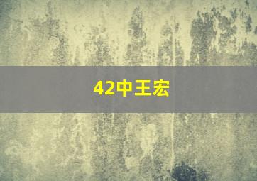 42中王宏