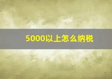 5000以上怎么纳税