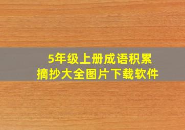 5年级上册成语积累摘抄大全图片下载软件