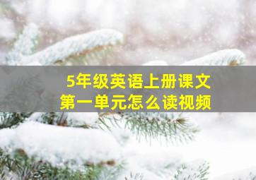 5年级英语上册课文第一单元怎么读视频