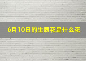 6月10日的生辰花是什么花