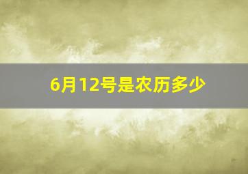 6月12号是农历多少