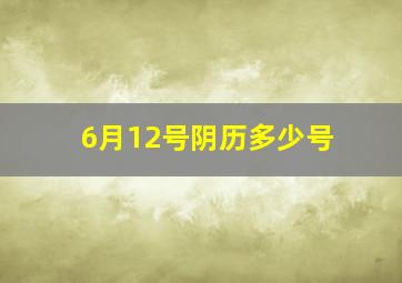 6月12号阴历多少号