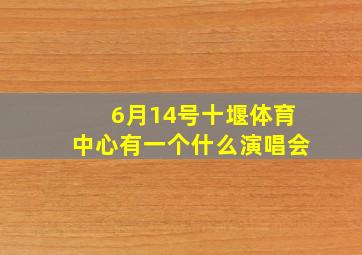 6月14号十堰体育中心有一个什么演唱会