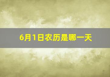 6月1日农历是哪一天