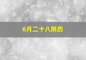 6月二十八阴历