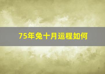 75年兔十月运程如何