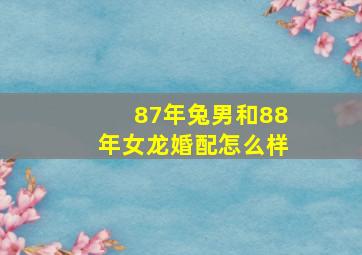 87年兔男和88年女龙婚配怎么样