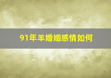 91年羊婚姻感情如何