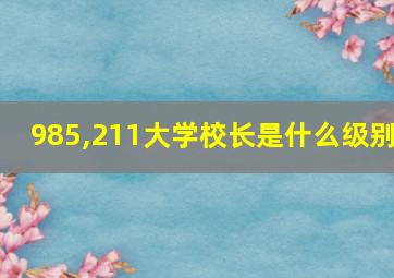 985,211大学校长是什么级别