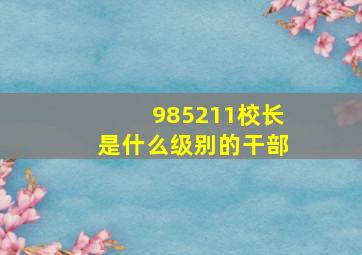 985211校长是什么级别的干部