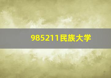 985211民族大学