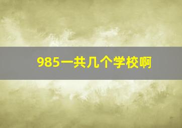 985一共几个学校啊