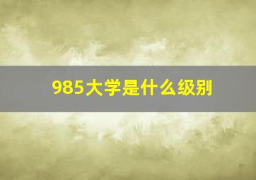 985大学是什么级别