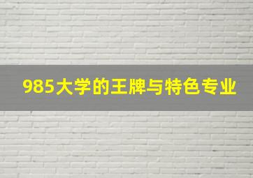 985大学的王牌与特色专业