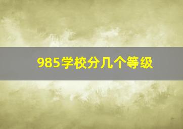 985学校分几个等级