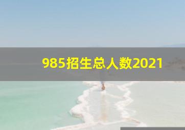 985招生总人数2021