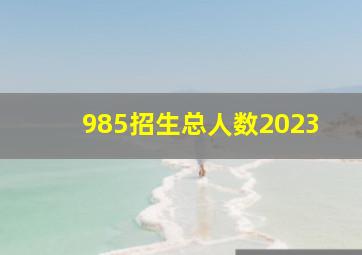 985招生总人数2023