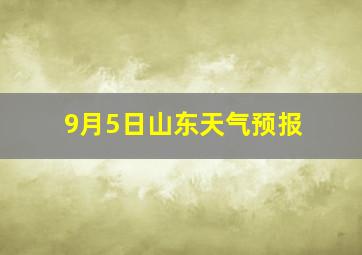 9月5日山东天气预报