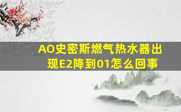 AO史密斯燃气热水器出现E2降到01怎么回事