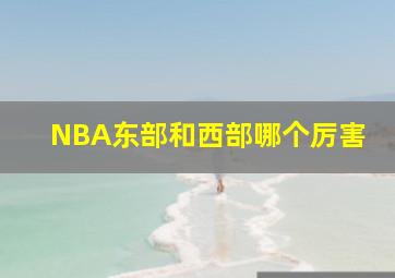 NBA东部和西部哪个厉害