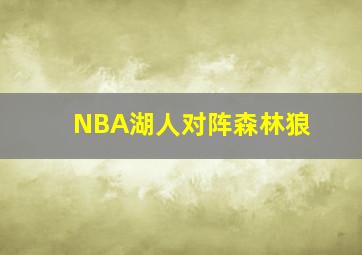 NBA湖人对阵森林狼