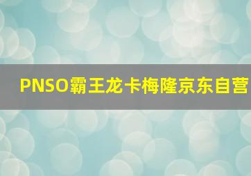 PNSO霸王龙卡梅隆京东自营