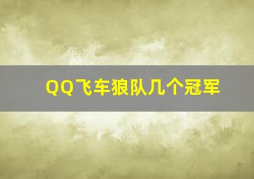 QQ飞车狼队几个冠军