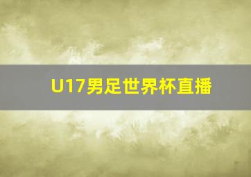 U17男足世界杯直播