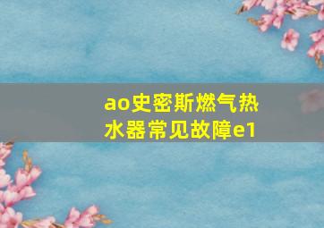 ao史密斯燃气热水器常见故障e1