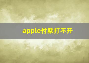 apple付款打不开