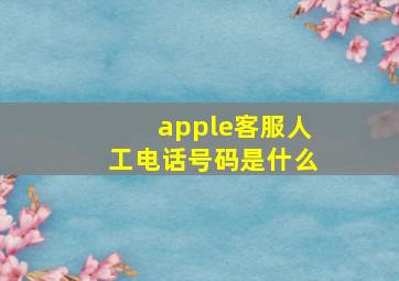 apple客服人工电话号码是什么