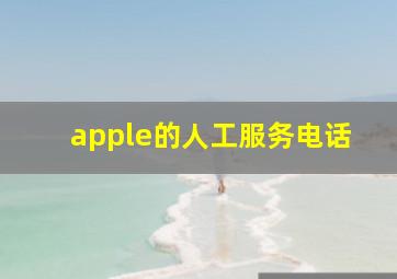 apple的人工服务电话