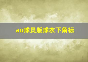 au球员版球衣下角标