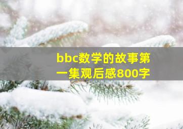 bbc数学的故事第一集观后感800字