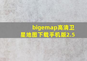 bigemap高清卫星地图下载手机版2.5