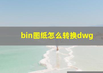 bin图纸怎么转换dwg