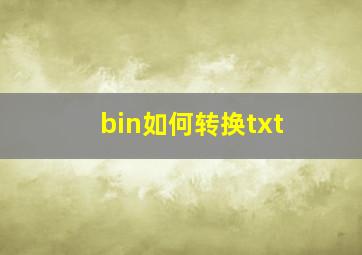 bin如何转换txt