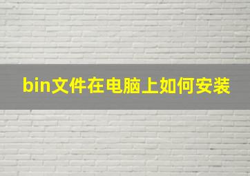 bin文件在电脑上如何安装